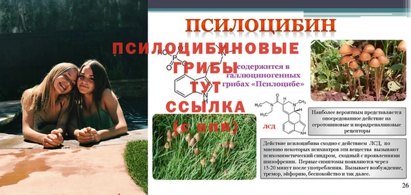 марки lsd Алексин