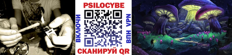 Псилоцибиновые грибы Cubensis купить цена Кондопога